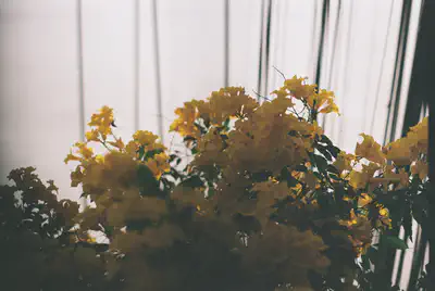 113686_010.JPG