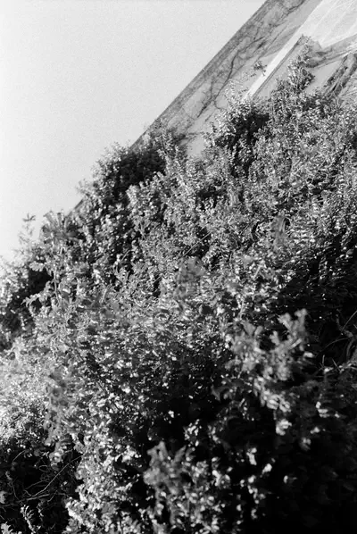 110068_007.jpg