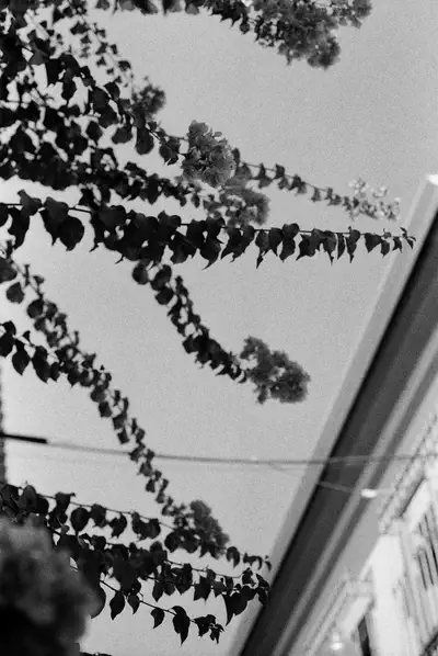 110068_009.jpg