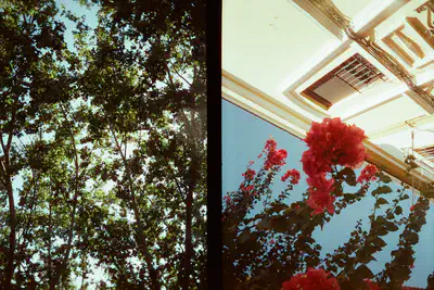 111343_098.jpg