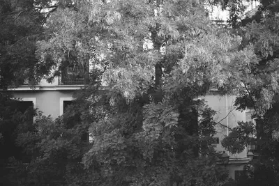 114196_013.jpg
