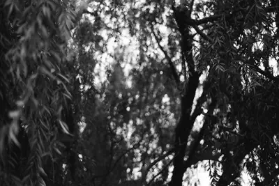 114196_022.jpg