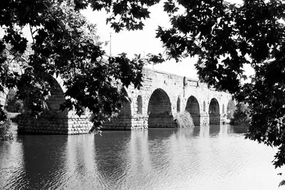 110068_013.jpg