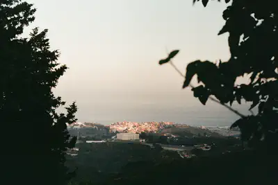 111343_002.jpg