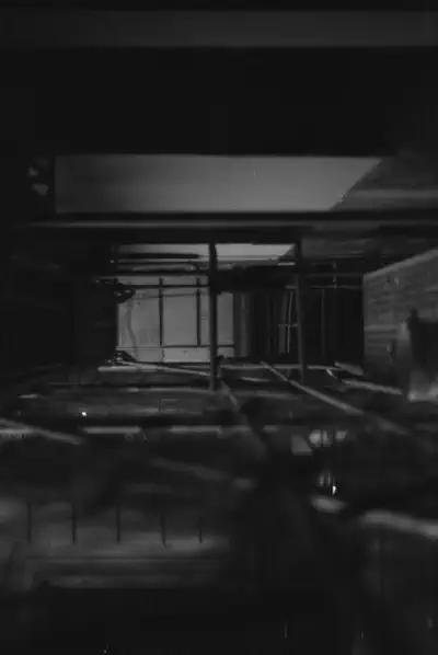 114196_019.jpg
