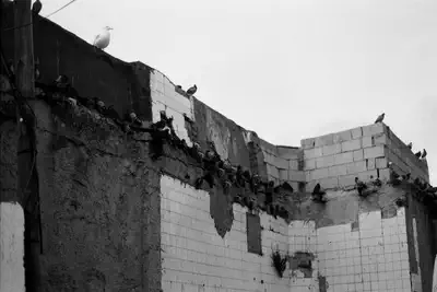 114196_034.jpg